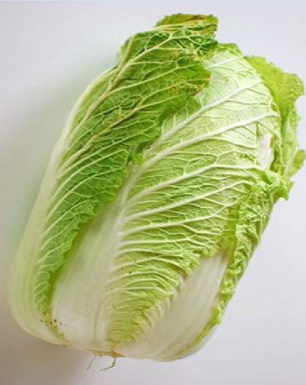 Hạt Giống Rau Cải Thảo F1