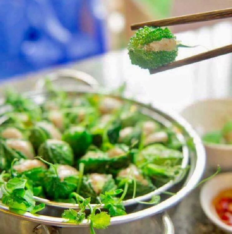 Hạt Giống Khổ Qua Rừng