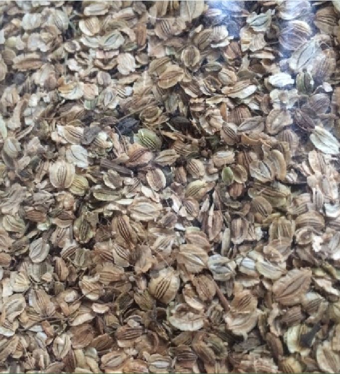 Hạt Giống Cây Bạch Chỉ