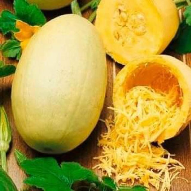 Hạt Giống Bí Trộn Gỏi, Bí Sợi Mì Spaghetti Tivoli - Gói 5 hạt
