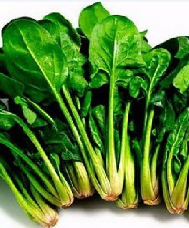 Hạt giống rau cải bó xôi chịu nhiệt F1