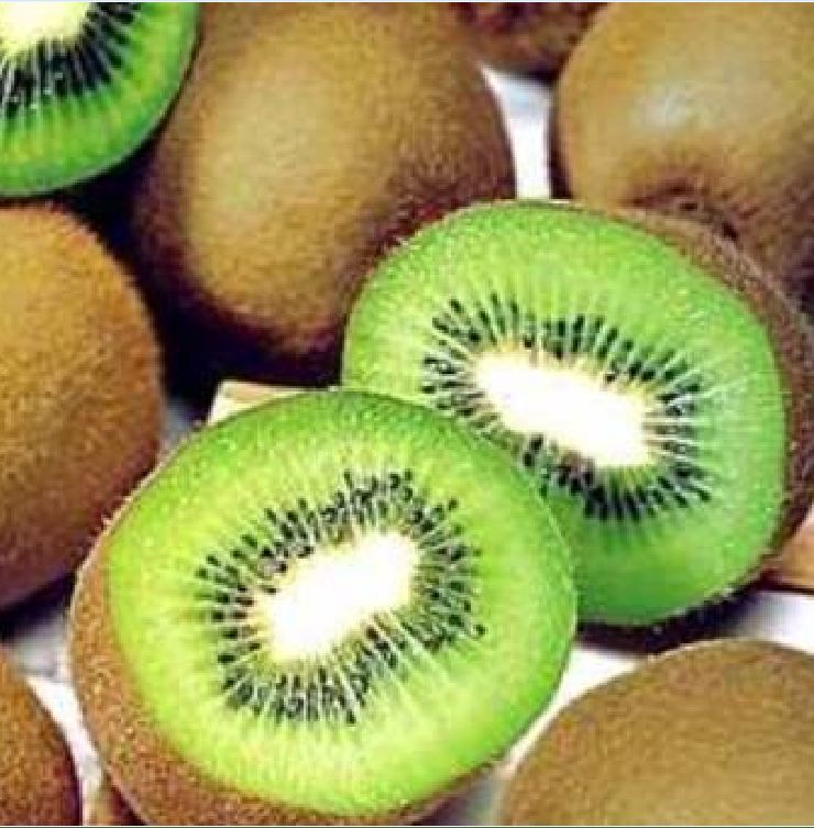 Hạt Giống Cây Ăn Trái Kiwi
