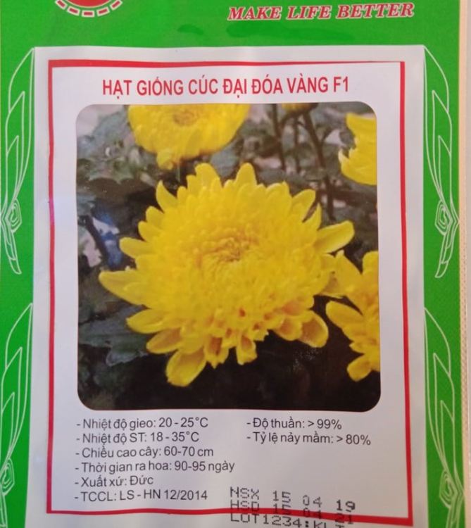 Hạt giống hoa cúc đại đóa vàng - Gói 50 hạt
