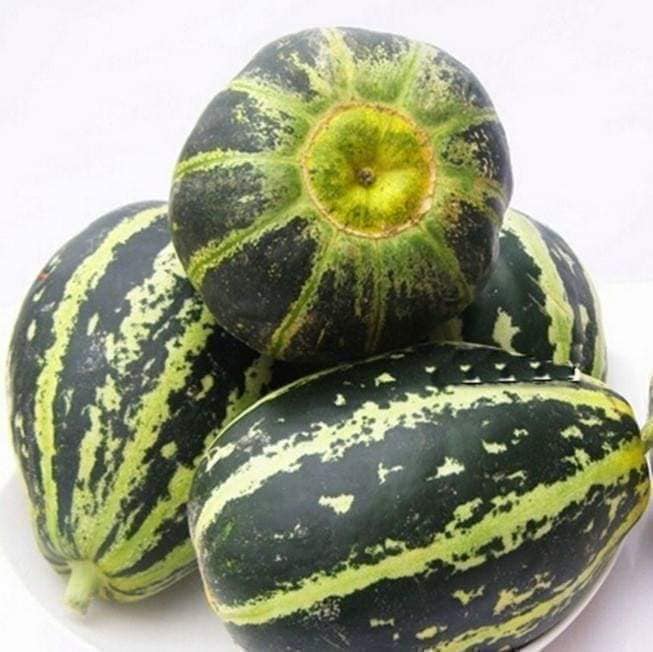 Hạt Giống Dưa Bở Thơm Cao Sản