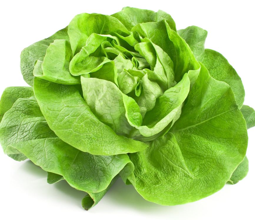 Hạt giống Rau Xà Lách Đăm Xanh Cao Sản - Gói 5gram