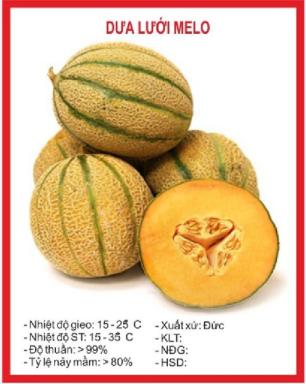 Hạt Giống Dưa Lưới Sọc Melo Ruột Gấc
