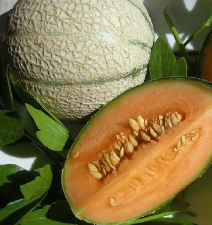 Hạt Giống Dưa Lưới Sọc Melo Ruột Gấc