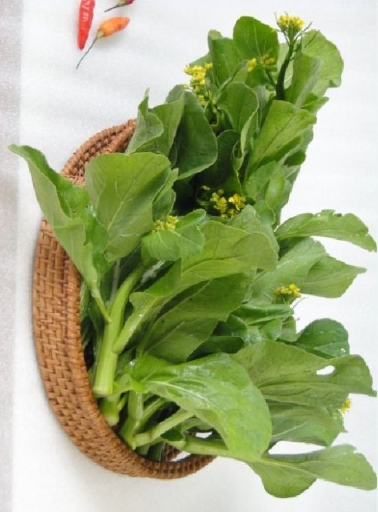 Hạt giống rau cải ngồng mập cao sảo ( cải ngọt ăn bông )