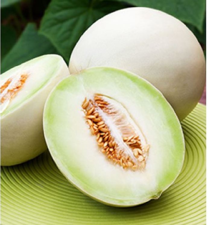 Hạt Giống Dưa Lê Bạch Tuyết