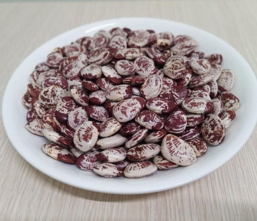 Hạt Giống Đậu Ngự