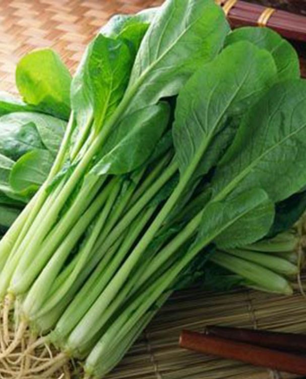 Hạt giống rau cải ngọt cao sản F1