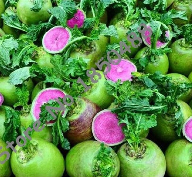 Hạt giống củ cải xanh ruột đỏ - Gói 2gram