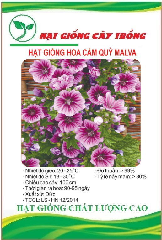Hạt Giống Hoa Cẩm Quỳ Nhiều Màu - Gói 50 hạt