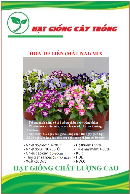 Hạt Giống Hoa Tô Liên (Mắt Nai) Nhiều Màu - Gói 10 hạt