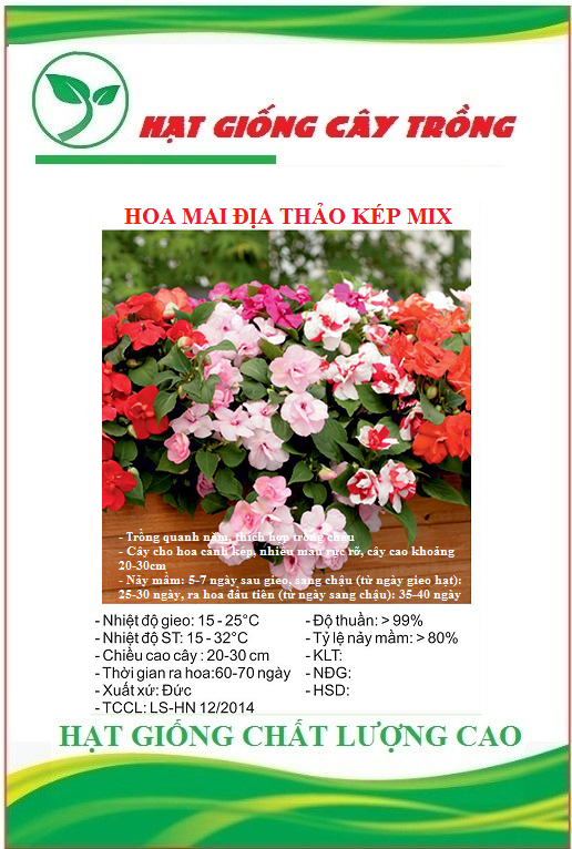 Hạt Giống Hoa Mai Địa Thảo Kép Nhiều Màu - Gói 20 hạt