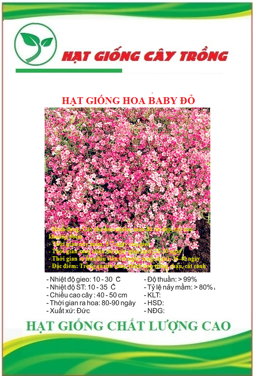 Hạt Giống Hoa Baby Đỏ - Gói 50 hạt