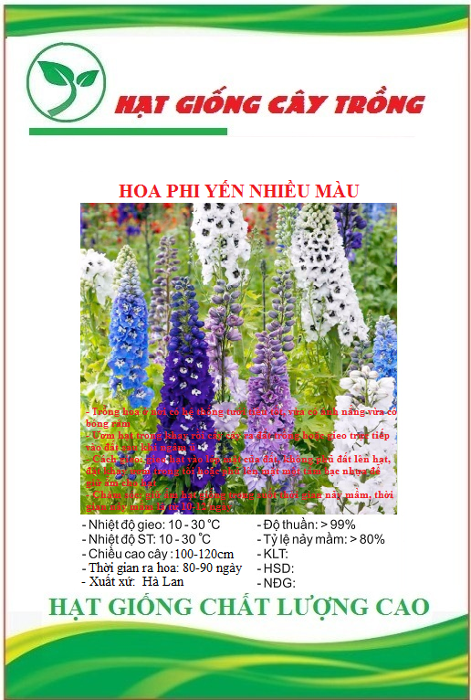 Hạt Giống Hoa Phi Yến Nhiều Màu - Gói 50 hạt