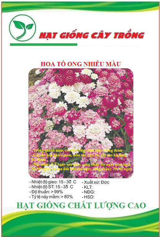 Hạt Giống Hoa Tổ Ong Nhiều Màu - Gói 50 hạt