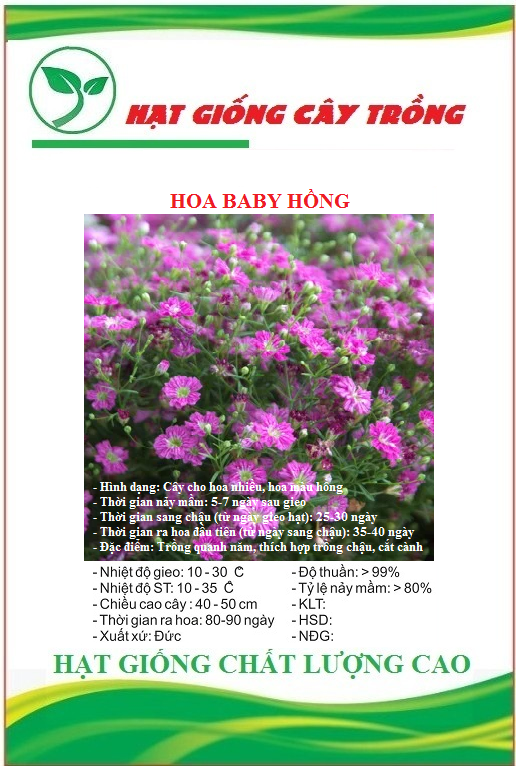 Hạt Giống Hoa Baby Hồng - Gói 50 hạt