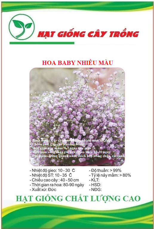 Hạt Giống Hoa Baby Nhiều Màu - Gói 50 hạt