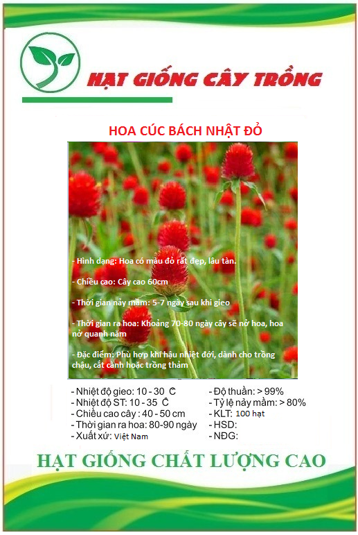 Hạt Giống Hoa Cúc Bách Nhật Đỏ