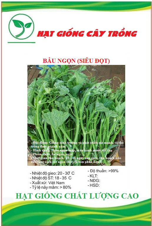 Hạt Giống Bầu Ngọn (Siêu đọt)