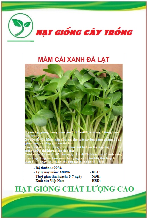 Hạt Giống Mầm Cải Xanh Đà Lạt - Gói 20gram