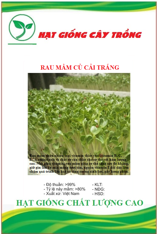 Hạt Giống Rau Mầm Củ Cải Trắng - Gói 20gram