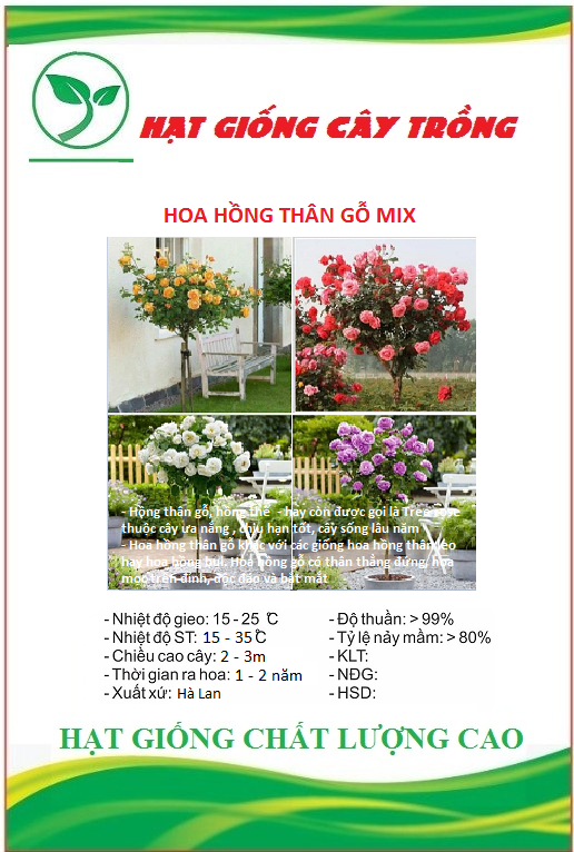 Hạt giống Hoa Hồng Thân Gỗ Tree Rose Mix Màu