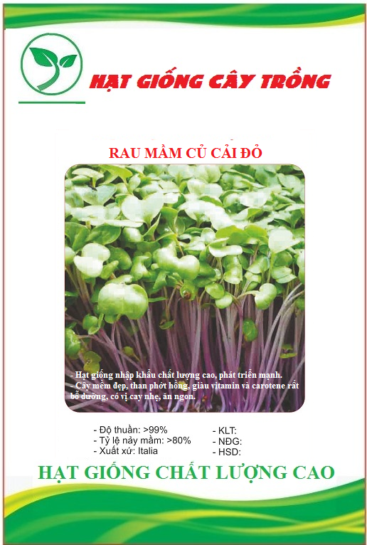 Hạt Giống Rau Mầm Củ Cải Đỏ - Gói 20gram
