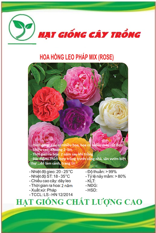 Hạt Giống Hoa Hồng Leo Pháp Mix Màu