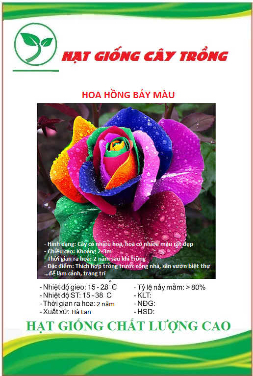 Hạt Giống Hoa Hồng Bảy Màu ( Hoa Hồng Cầu Vòng )