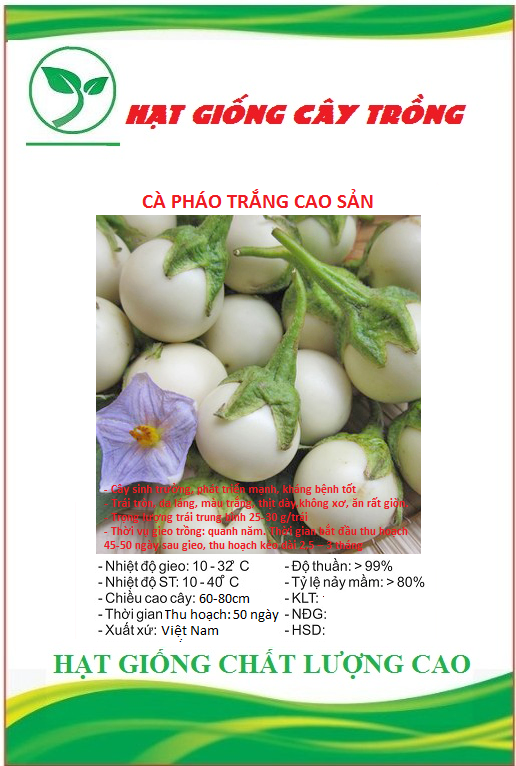 Hạt Giống Cà Pháo Trắng Cao Sản