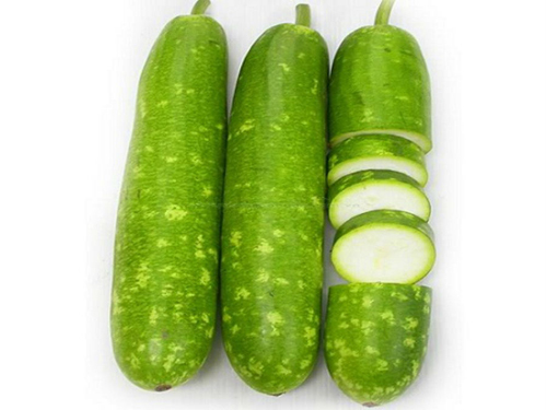 Hạt Giống Bầu Sao Trái Ngắn F1