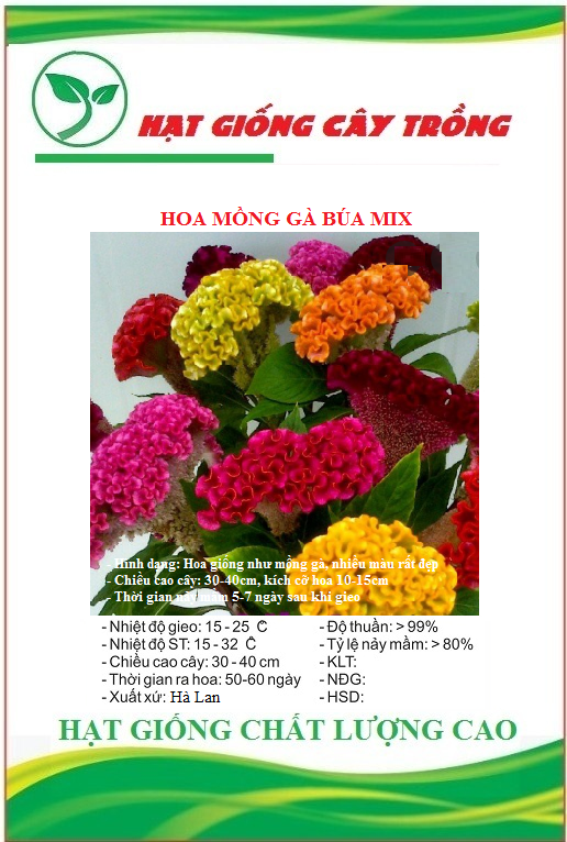 Hạt Giống Hoa Mồng Gà Búa Nhiều Màu - Gói 50 hạt