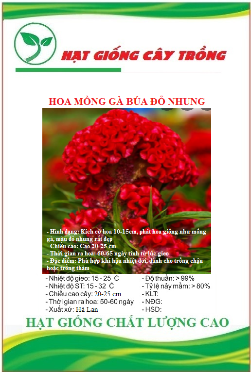 Hạt Giống Hoa Mồng Gà Búa Đỏ Nhung - Gói 50 hạt
