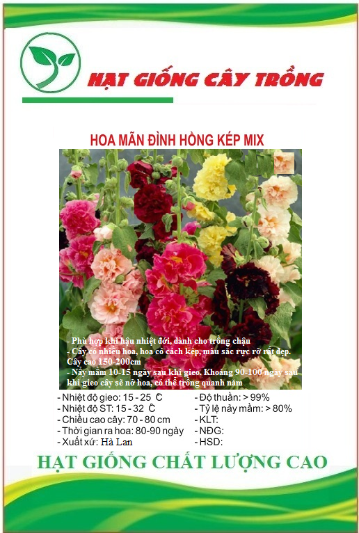 Hạt Giống Hoa Mãn Đình Hồng Kép Nhiều Màu - Gói 50 hạt
