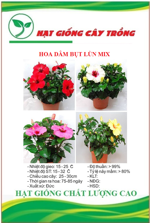 Hạt giống hoa dâm bụt lùn nhiều màu - Gói 10 hạt