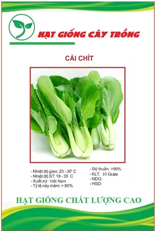 Hạt giống rau cải chíp cao sản