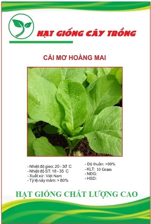 Hạt giống rau cải mơ ( đăm )
