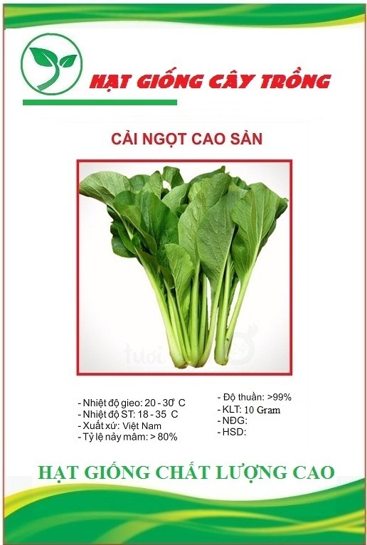 Hạt giống rau cải ngọt cao sản F1