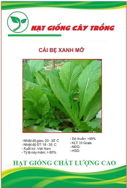 Hạt Giống Rau Cải Bẹ Xanh Mỡ
