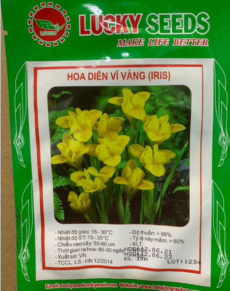 Hạt Giống Diên Vĩ Vàng (Iris Vàng)