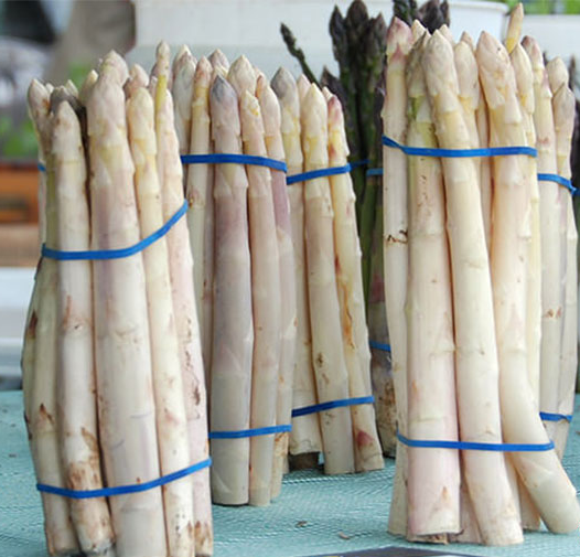 Hạt Giống Măng Tây Trắng F1