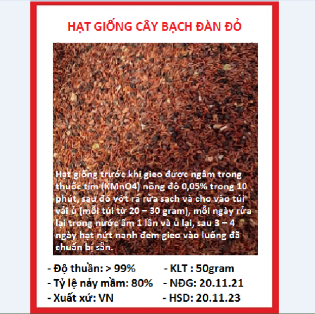 Hạt Giống Cây Bạch Đàn Đỏ