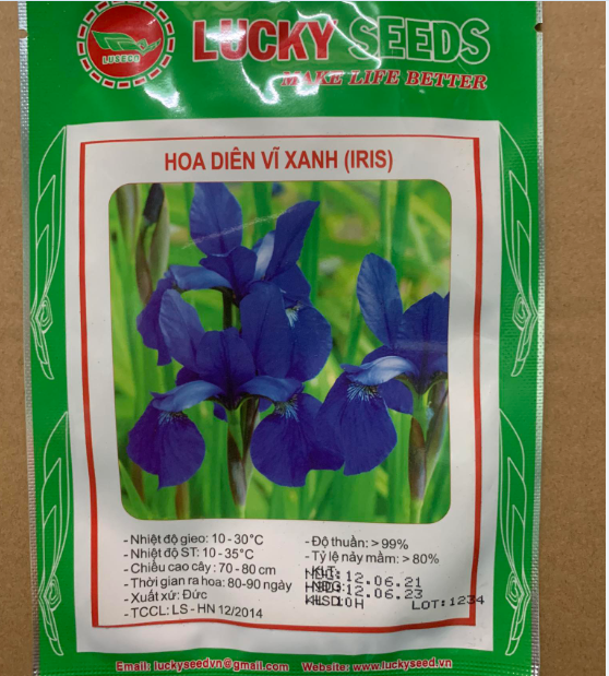 Hạt Giống Diên Vĩ Xanh (Iris Xanh )