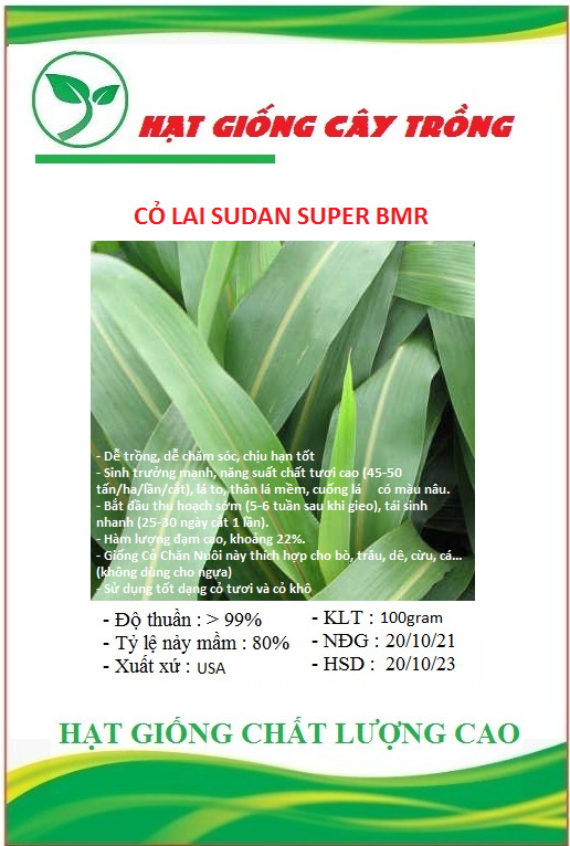 Hạt giống cỏ Sudan Super BMR - Cỏ Ngô - Gói 100gram