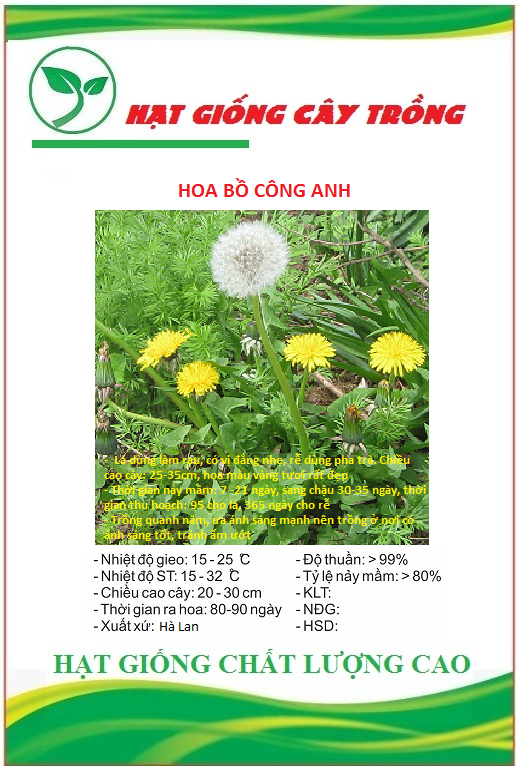 Hạt Giống Hoa Bồ Công Anh