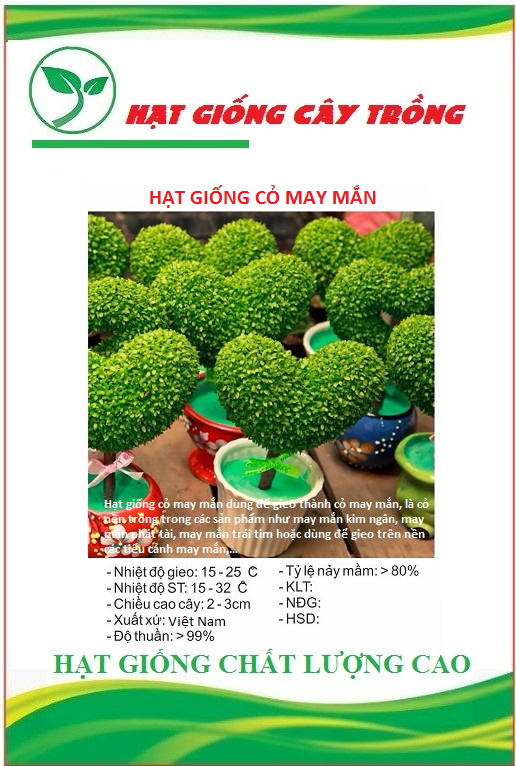 Hạt Giống Cỏ May Mắn - Gói 1gram