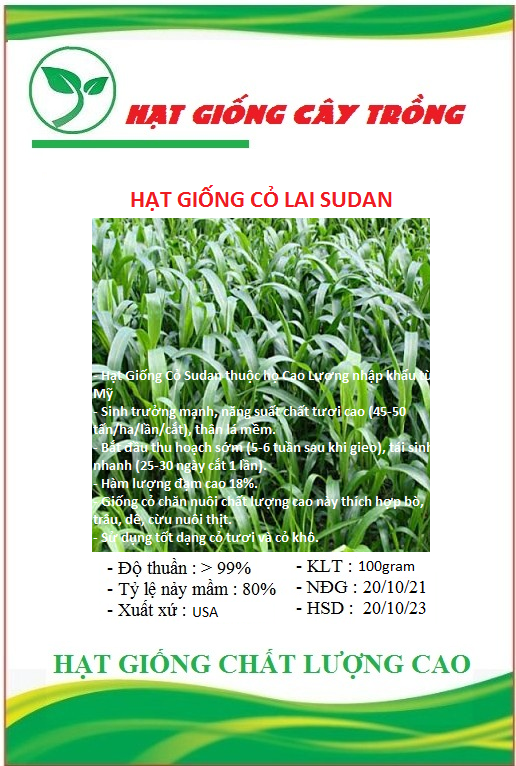 Hạt Giống Cỏ Sudan Lai – Dòng Cỏ Ngô - Gói 100gram